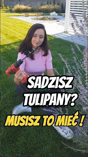 How to plant tulips. Planting bulb flowers #tulips #garden #gardentips