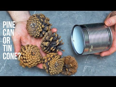 Just get a tin can, pine cones, and you've got yourself a real masterpiece! tin can craft cone craft