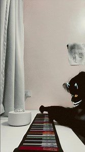 Friday theme song of 3008