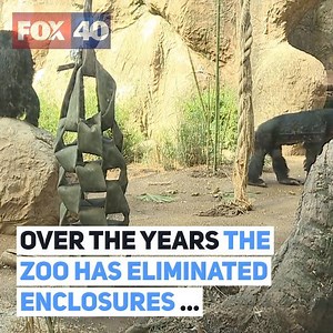 After 90 years in Land Park, the Sacramento Zoo is starting the process of finding a new location -- http://via.fox40.com/f4p5g | FOX40