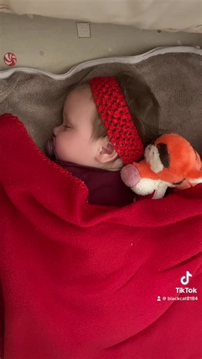 ellenripley84 a TikTokon