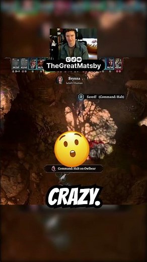 Saving the Owlbear Cub in Honour Mode! #bg3 #honourmode #owlbear #dnd
