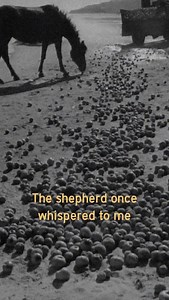 White Line Fever (remastered) comes out November 14! Tour dates 👀 Leg 4 w/ ‘68 & Wolves at the Gate 11/6 - Erie, PA 11/7 - Toronto, ON 11/8 - Ottawa, ON 11/9 - Montreal, QC 11/10 - Burlington, VT 11/11 - Allston, MA 11/13 - Scranton, PA 11/14 - Hartford, CT 11/15 - Brooklyn, NY 11/16 - New Kensington, PA Leg 5 w/ As Cities Burn and The Classic Crime 2/25 - Lubbock, TX 2/26 - Albuquerque, NM 2/27 - Mesa, AZ 2/28 - San Diego, CA 3/1 - Los Angeles, CA 3/3 - Pomona, CA 3/4 - Fresno, CA 3/5 - Reno, 