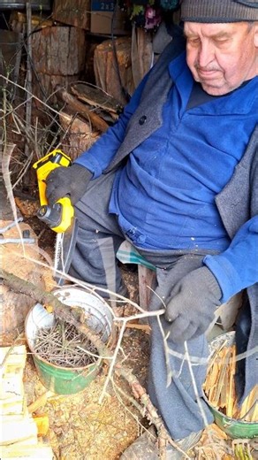 Pruning Garden Branches with a Cordless Saw #garden #diy #woodworking #chainsaw #wood #firewood