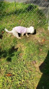 2.3K views · 357 reactions | I was able to facilitate a long distance...