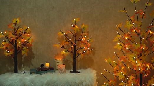 2FT Maple Tree and 6FT Maple Tree Bundle 