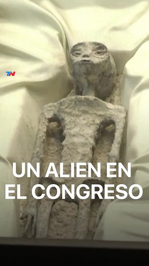 “OVNIS” EN EL CONGRESO: mostraron los cuerpos de dos supuestos extraterrestres en México Fue en el marco de una audiencia pública sobre la información que se conoce en el mundo alrededor de los fenómenos antes conocidos como Objetos Voladores No Identificados (OVNIS), ahora nombrados como Fenómenos Aéreos No Identificados. #viral #tendencias #aliens #extraterrestre #elijocreer #creeroreventar #mexico #breakingnews #noticia #tiktokinforma #tn #todonoticias