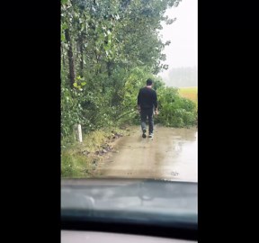 A Man removed fallen tree in Jiangsu, China