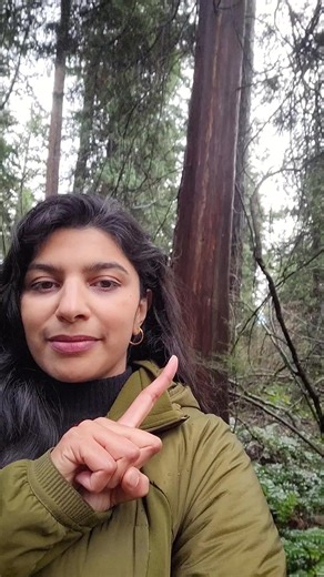 Here's to the stories shared and the lessons learned in this year's 14 new and returning CBC Podcasts! 壟✨ Let us know in the comment section below: What was your favourite podcast of #2023? ⬇️ | CBC Podcasts | Facebook