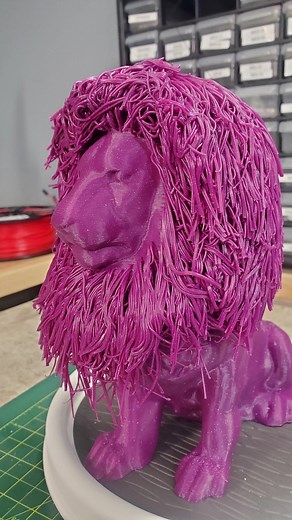 Creative 3D Printed Sea Lion Toy Ideas