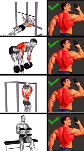 How to Get a Wider Back | Back Workout | Back Workout At Gym | Gym #shorts​​ #backworkout #gym #usa