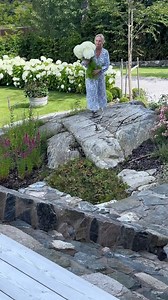 Tiden nu när trädgården är full av hortensior av alla slag - älskar den! I filmen visas Annabelle, men i vår trädgård växer även Runaway Bride, Limelight, Skyfall och Endless Summer. Har du någon favorit bland hortensior? #hortensias #hortensia #nybyggthus #hydrangea #iminträdgård #trädgård #trädgårdsinspiration #trädgårdstider #trädgårdsliv #trädgårdslycka #trädgårdsglädje #trädgårdsdrömmar #gardeninspiration #gardendesign #gardeninspiration #gardeninglife #gardenersofinstagram #gardenersworld 