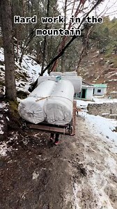 17K views · 688 reactions | Miles Sherpa | Nepal trek | Facebook