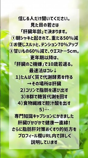 脂肪肝を解消する方法 #更年期ダイエット #脂肪肝 #更年期 #やせる