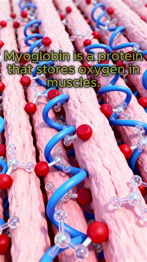 Your Steak Isn’t Bloody… Here’s Why! 🥩🤯