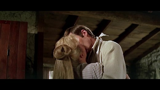 The Rare Breed (1966)