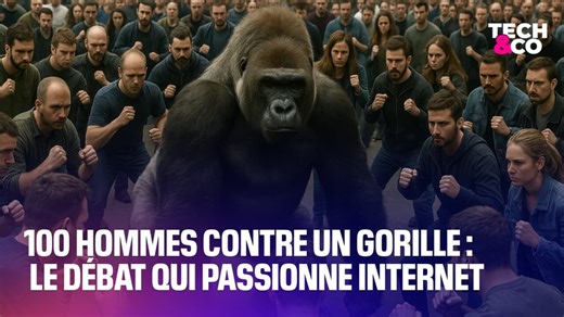 100 hommes contre un gorille: le débat absurde qui passionne les internautes