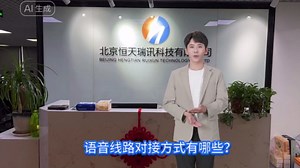 语音线路对接方式有哪些？