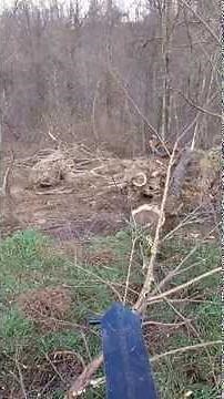 Home built 3pt logging winch