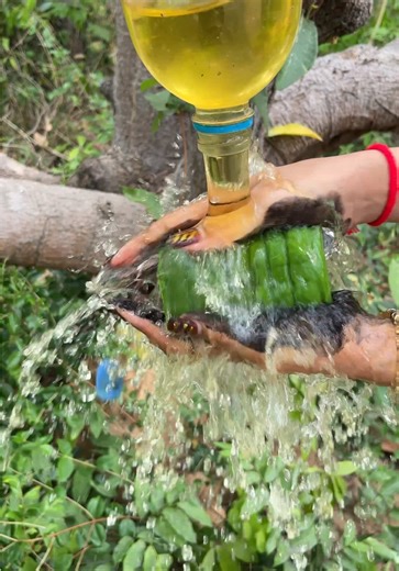 DIY Small Soap & Water Survival Skills for Camping