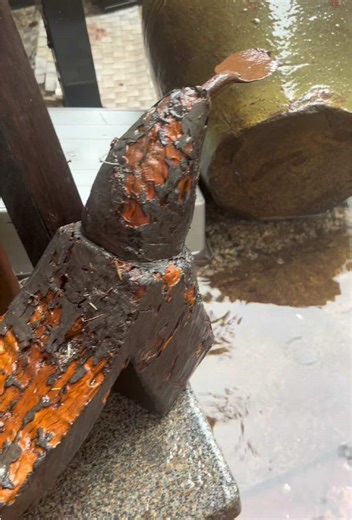 Kukur Kelapa Antik: Keindahan dan Nilai Langka