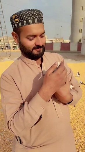 Amazing Wildlife Moments | Nature & Wild Animals in Action