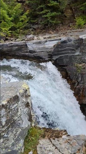 Meachen Creek WaterFalls, British Columbia #mothernature #beautiful #shorts #puppy