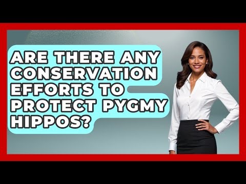 Are There Any Conservation Efforts To Protect Pygmy Hippos? - The Wild Life Explorer