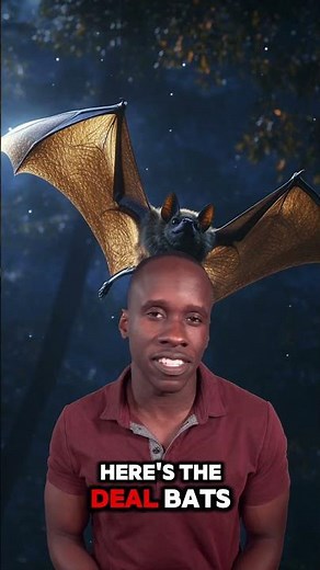 Bats are the only mammals capable of sustained flight. Truth or Trash? Episode 196 #biology #science