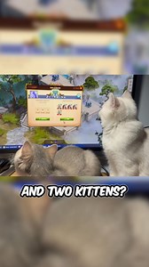 Share photos of your pets who accompany you while playing Elvenar! 🐾🏰✨ | Elvenar