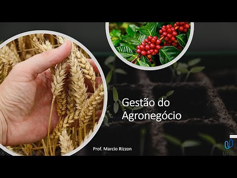 Introdução a Gestão do Agronegócio (aula 1)