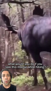 This Hiking Could Have Ended Badly! | How to Survive Show