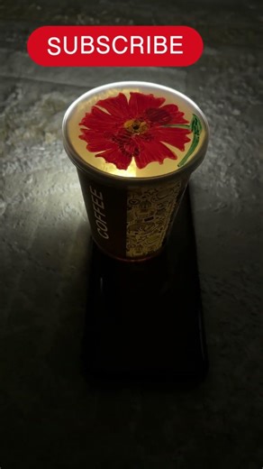 Beautiful Flower Shadow Art Using a Flashlight 🌸✨ #shorts