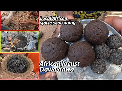 Popular AFRICAN LOCAL SPICEs DAWADAWA !! How to make African locust beans SUMBALA #cooking #food