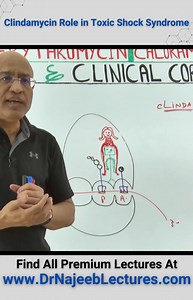 6.7K views · 101 reactions | Clindamycin Role In Toxic Shock Syndrome Treatment of toxin-mediated diseases such as toxic shock syndrome (TSS) and Staphylococcus scalded skin syndrome (SSSS) typically includes adjunctive clindamycin to halt bacterial exotoxin production. However, there is emerging clindamycin resistance in Staphylococcus aureus and Streptococcus pyogenes. | Dr. Najeeb | Facebook