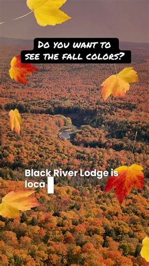 Want to see the fall colors? Go to Black River Lodge located in the upper peninsula of Michigan. The views are absolutely breathtaking. Located in Ironwood, Michigan, you have endless views of the beautiful fall colors. It is absolutely magical. #UP #michigan #fallcolors #fall #yooper