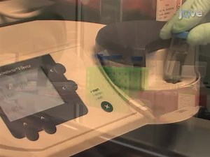 Transfecting and Nucleofecting Human Induced Pluripotent Stem Cells