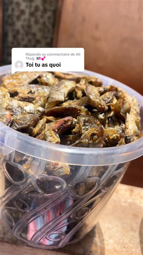 Réponse à Ali Thug : poisson fumé, live et highlights