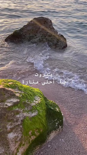 2019 Memories 🇱🇧 - Remembering the Best of Lebanon Before the Revolution