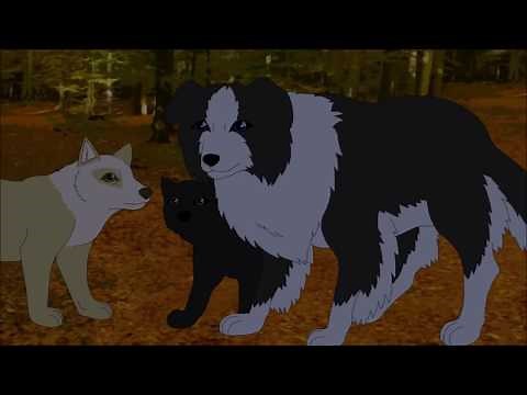 Feral Pride-Episode 21