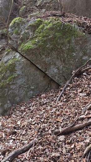 It seems Tanjiro was also practicing the diagonal slash... #diagonalslash #Tanjiro #DemonSlayer #...