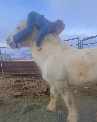 62K views · 1.4K reactions | That's one patient horse! 藍 | Furry Tails | Facebook