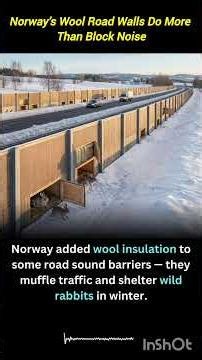 Norway Wool Sound Barriers | Eco-Friendly Roads That Help Wildlife
