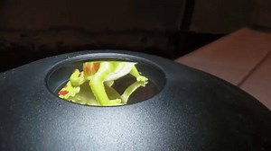 5.8K views · 15 reactions | Two parabolic mirrors facing each other to create a 3-D hologram image | Latest Science | Facebook