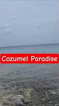 Cozumel, México 🇲🇽 | Best Things to Do on the Island – Beaches, Food & Hidden Gems