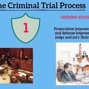 The Criminal Trial Process