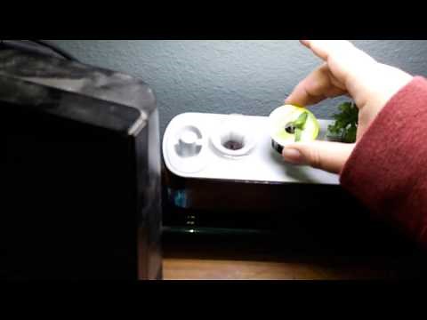 AeroGarden Pump Not Bubbling - Problem Fixed v1