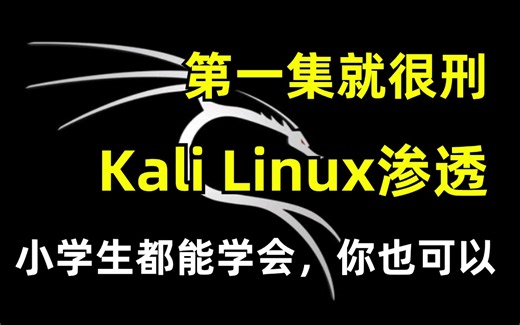 【第一集就很刑】B站最强Kali Linux渗透教程，零基础也能学会的kali破解/网络安全/渗透测试/黑客技术视频教程