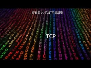 耳でわかる TCP 解説｜春日部つむぎのIT用語講座