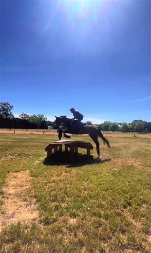 TikTok · isabella jones eventing